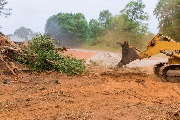 Ground Clearing in Mount Vernon