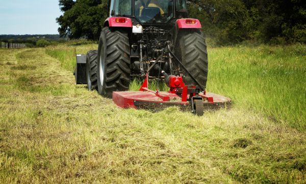 Brush Clearing Service in Mount Vernon