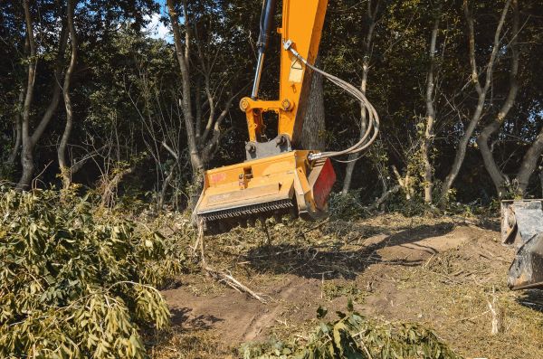 Brush Removal Service in Mount Vernon